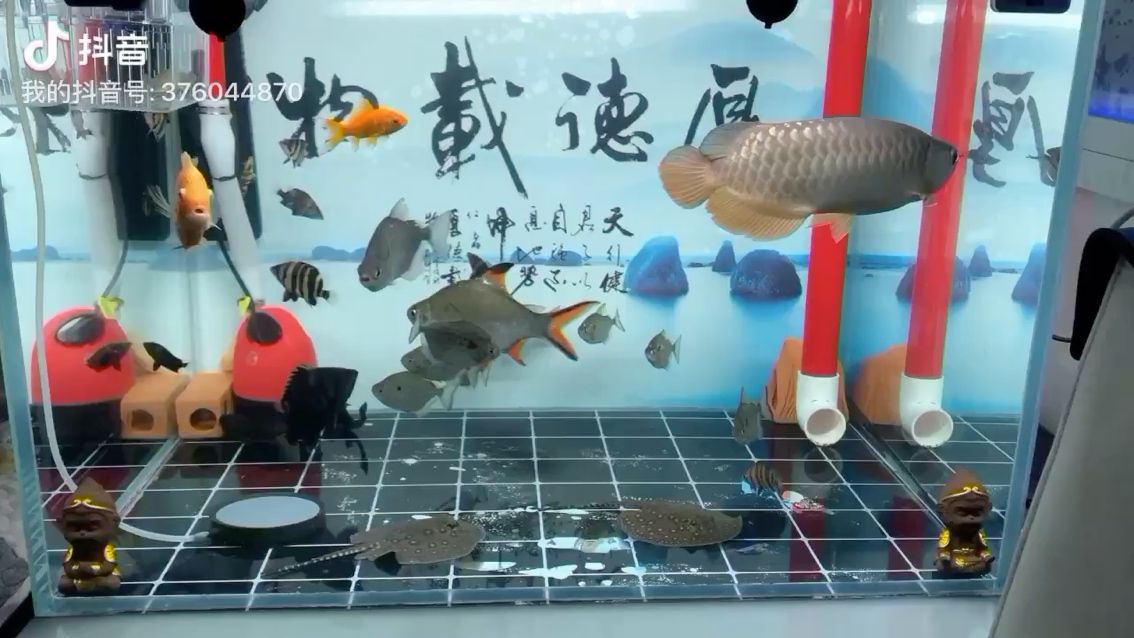 焦作水族馆家庭水族馆