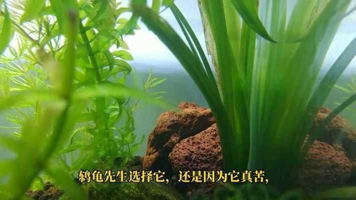 灯架:灯管怎么安装到灯架上