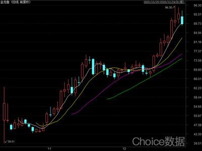 金龙鱼股份价格走势（2024年12月12日金龙鱼股份的价格变化明细）