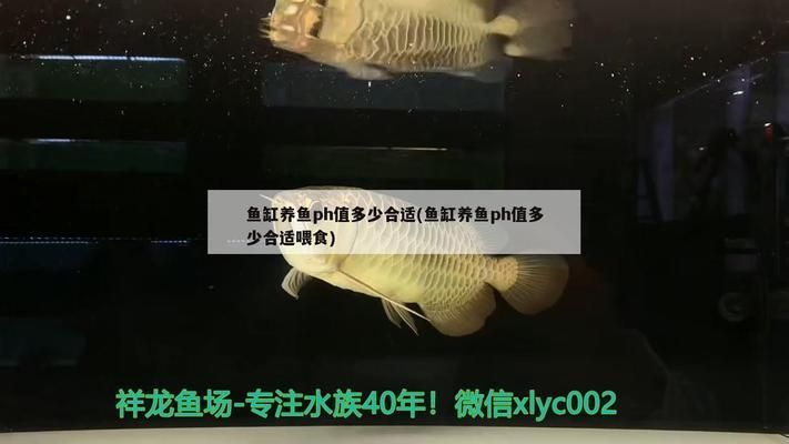 湛江鱼缸定做:湛江那里有卖鱼缸