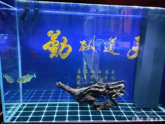 长治哪里有水族馆（店）:带孩子去旅游究竟有没有意义