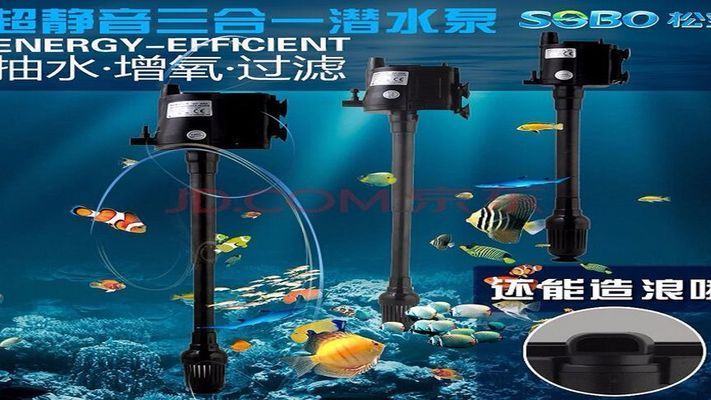 白银哪里有水族馆（店）:金庸小说里的大侠谁最有钱