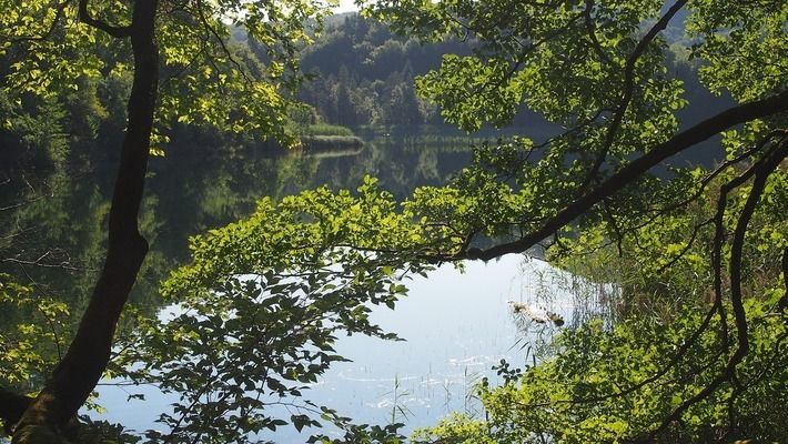 毕节哪里有水族馆（店）:不要人山人海那种旅游景点