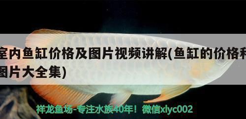 河池哪里有水族馆（店）:有没有让你留恋的地方