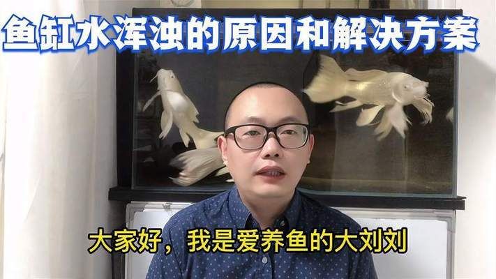 吉安鱼池过滤滤材:沉淀仓里放什么好