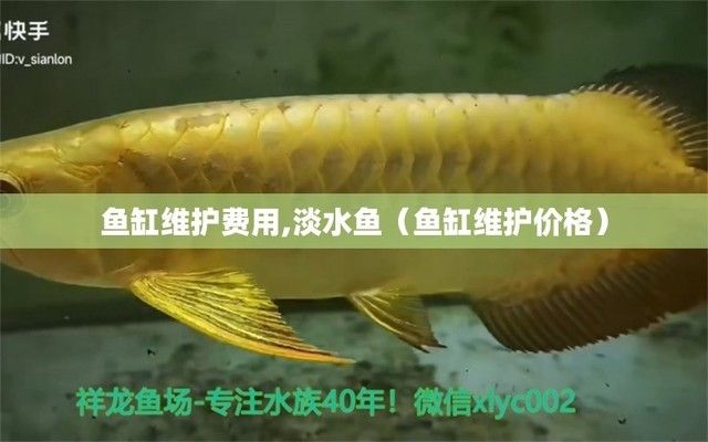 嘉峪关哪里有水族馆（店）:青岛好玩吗 观赏鱼水族批发市场