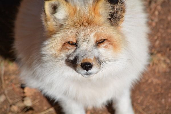 西宁鱼池过滤滤材 广州水族器材滤材批发市场