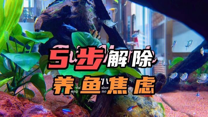 德宏傣族景颇族自治州鱼池建设:昆明有哪些景点推荐