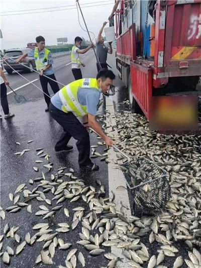 德州鱼池建设:3平方鱼池造价