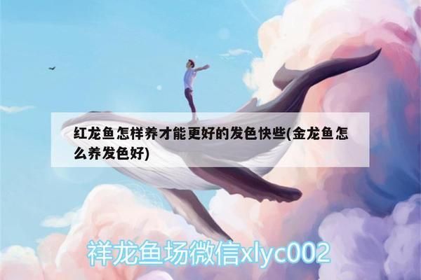 上海计罡景观设计中心（上海计罡景观设计中心91310120ma1jkpau2u）