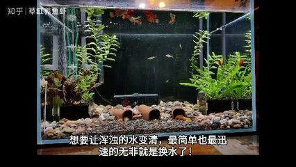 重庆无界园林景观设计有限公司（重庆无界园林景观设计有限公司详细介绍经营产品：许可项目）