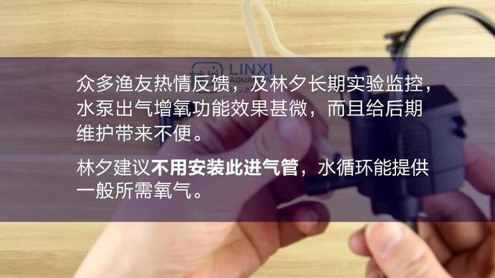 龙鱼眼睛有白膜怎么办:黄金龙凤可以和什么鱼混养