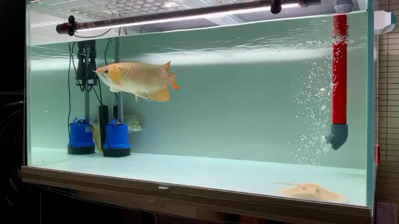 威海水族馆台风天