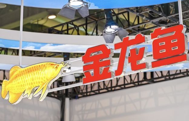 双鸭山水族馆还好有鱼在