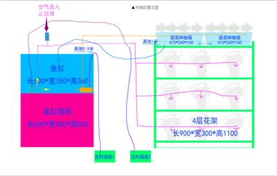 曼丽宠物店