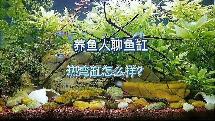 印尼辣椒红龙鱼怎么挑选