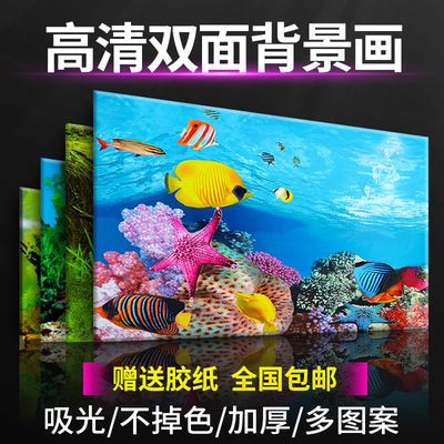 克孜勒苏柯尔克孜自治州水族馆魟鱼饲养需要具备的五心你具备了吗？