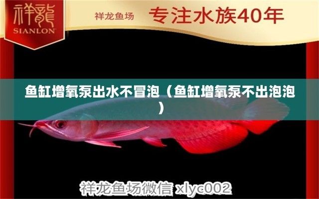 广州水族批发市场祥龙鱼场电话(广州龙鱼批发市场gg祥龙鱼场)