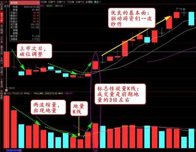 金龙鱼未来估值预测（金龙鱼股价波动原因探究） 龙鱼百科 第4张