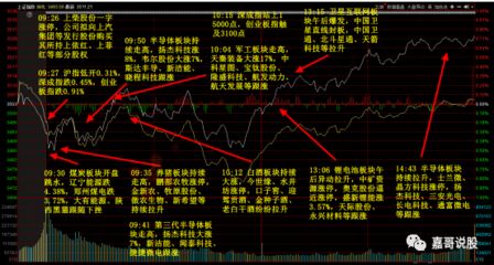 金龙鱼行情分析报告最新版（金龙鱼2024年12月11日盘中上涨2.00%） 龙鱼百科 第5张