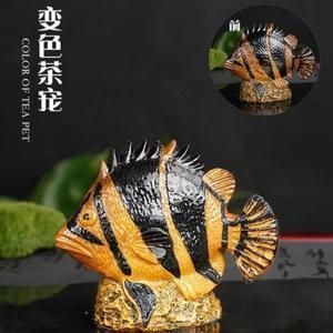 太白县蓝海世界水族馆（太白县蓝海世界水族馆经营产品：观赏鱼、鱼缸、渔具、渔具、饲料零售）