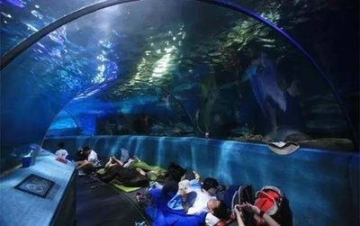 南京水族馆（南京海底世界的特色动物）