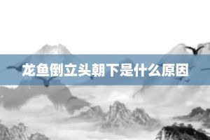 龙鱼头朝上尾朝下一直动怎么回事（龙鱼头朝上尾朝下一直动可能是健康状态的一种反应）