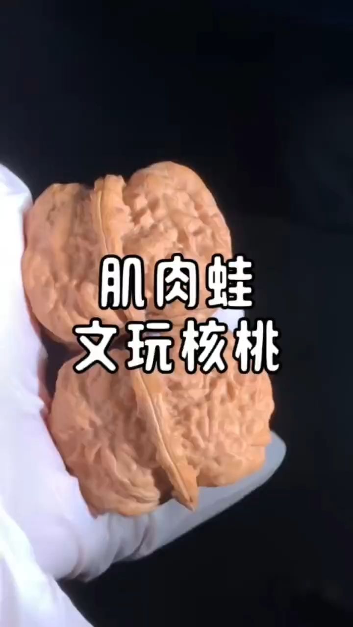 暴力肌肉蛙（福利：暴力肌肉蛙）