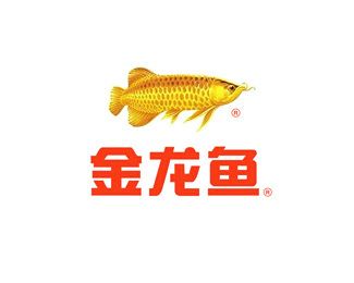 金龙鱼logo含义（金龙鱼logo设计成功案例分析金龙鱼logo设计演变过程） 龙鱼百科 第1张