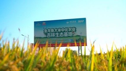 深圳市龙岗区天颖水族馆（深圳天颖水族馆） 全国观赏鱼市场