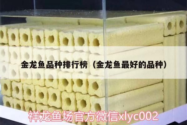 最好看的金龙鱼品种是什么（最漂亮的金龙鱼品种） 龙鱼百科 第1张