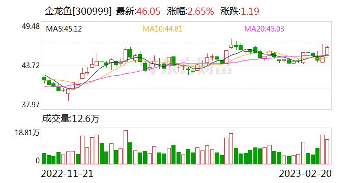 白化雷龙鱼适宜的水温范围（关于白化雷龙鱼的问题） 水族问答