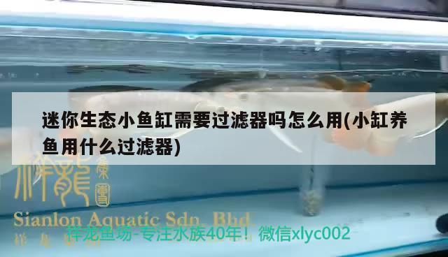 温江欣艺豪装饰（成都温江欣艺豪装饰） 水族周边