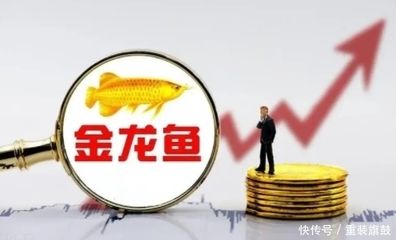 金龙鱼2019年营业额（金龙鱼2019年实现营业收入1707亿元）