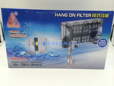 filter鱼缸过滤器安装（如何选择适合的过滤器）