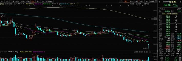 CIPS展会龙鱼比赛视频回顾（龙鱼比赛在cips展会上是如何组织和执行的,评委是如何决定比赛结果的） 水族问答