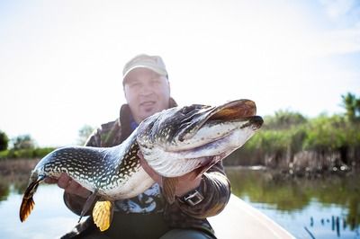 大湖红龙鱼饲养要点（大湖红龙鱼的饲养要点） 龙鱼百科 第4张