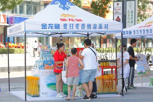 甘井子区大连湾街道百辉宠物用品店，甘井子区大连湾街道百辉宠物用品店经营情况揭示