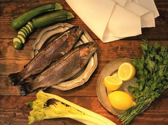 银鼓鱼苗适宜饲料选择，银鼓鱼苗饲料品牌推荐，银鼓鱼苗饲料营养成分分析 龙鱼百科 第5张