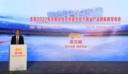 金龙鱼一条多少钱40公分的，40公分的金龙鱼价格可能在数百到数千元之间 龙鱼百科 第4张