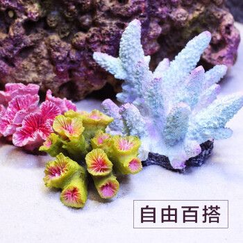 易萌鱼缸，易萌鱼缸怎么样