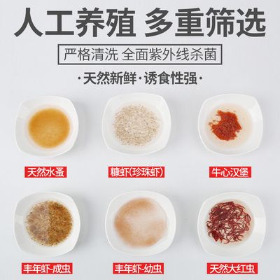 最好的龙鱼，十大最漂亮的龙鱼品种 龙鱼百科 第5张