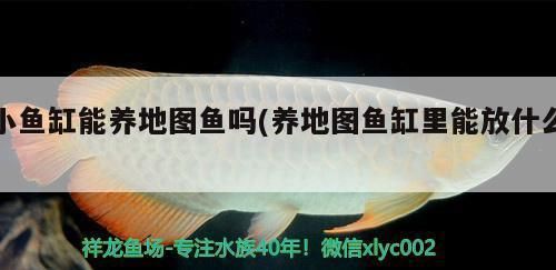 广州佑芊婳贸易有限公司，广州佑芊婳贸易有限公司介绍