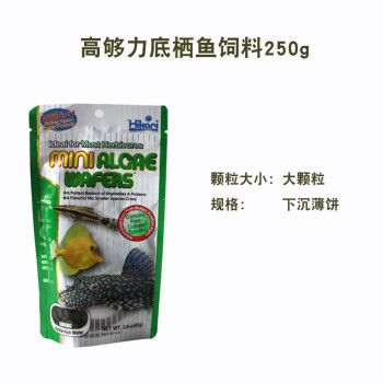 黄金斑马饲料选择指南，黄金斑马鱼专用饲料品牌排行