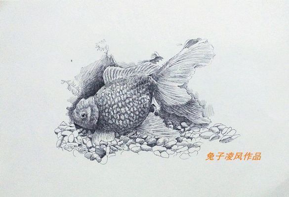 龙鱼绘画取名大全，龙鱼绘画取名大全涵盖了多种风格和主题 龙鱼百科 第1张