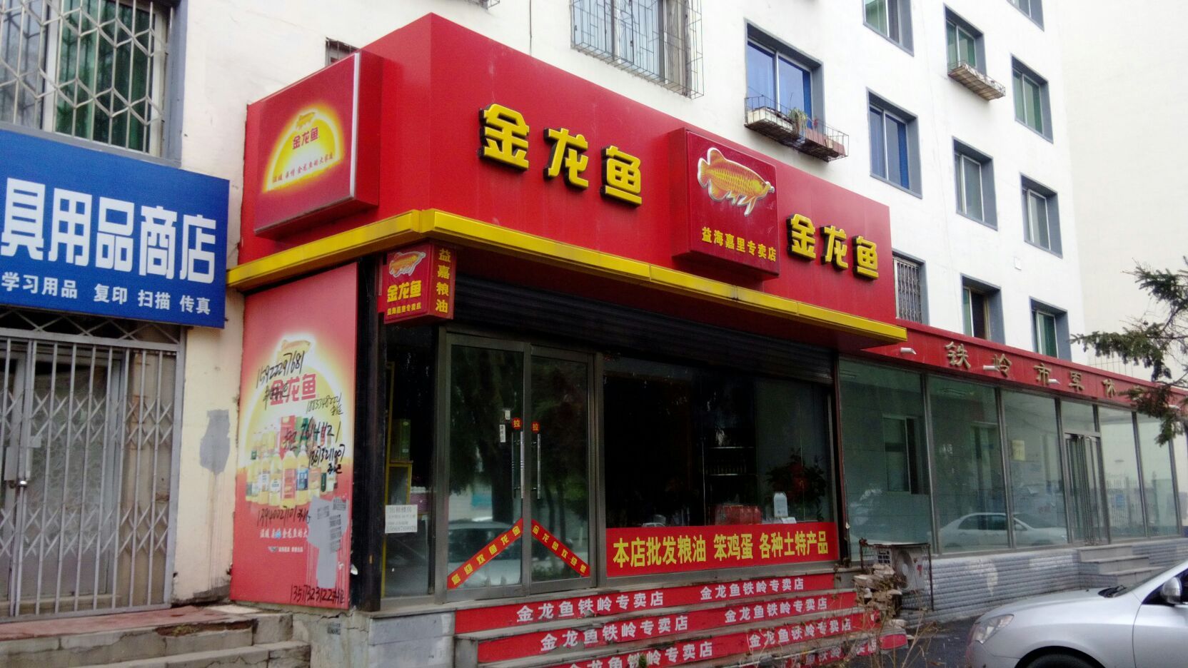 金龙鱼益海嘉里专卖店怎么样，忻州金龙鱼益海嘉里专卖店 龙鱼百科 第4张