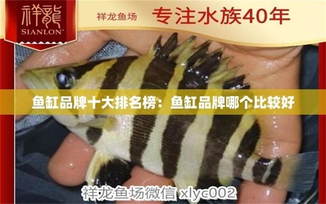 鱼缸知名品牌有哪些，2024年鱼缸十大品牌排行榜 龙鱼百科 第6张