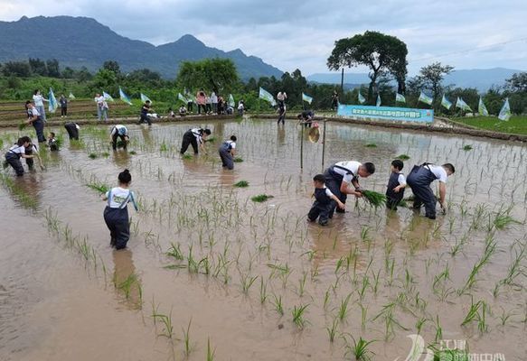 昆明柏克普广告有限公司，昆明柏克普广告有限公司,