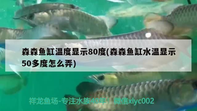 胭脂孔雀龙能不能和龙鱼混养呢图片大全，胭脂孔雀龙和龙鱼可以混养但需要确保鱼缸足够大