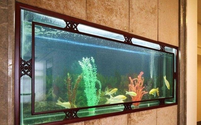 中山龙鱼水族科技有限公司电话号码查询，中山龙鱼水族科技有限公司电话号码查询服务